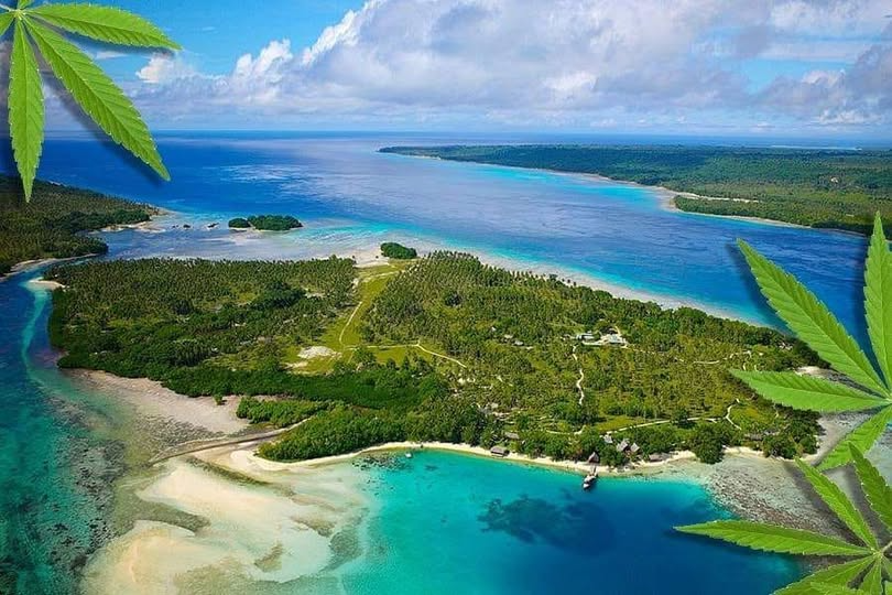 imagne de cayo cannabis